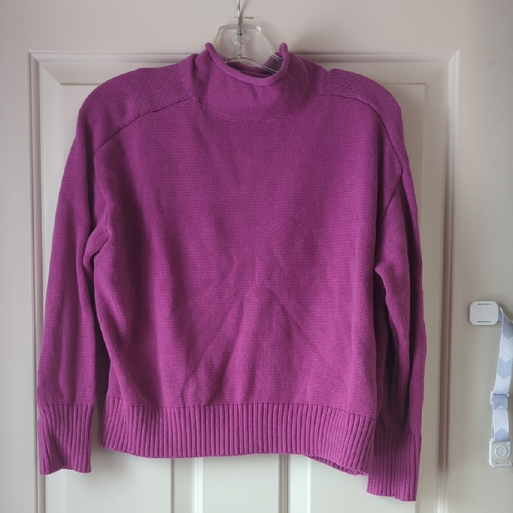 Ann Taylor Factory Turtleneck Sweater